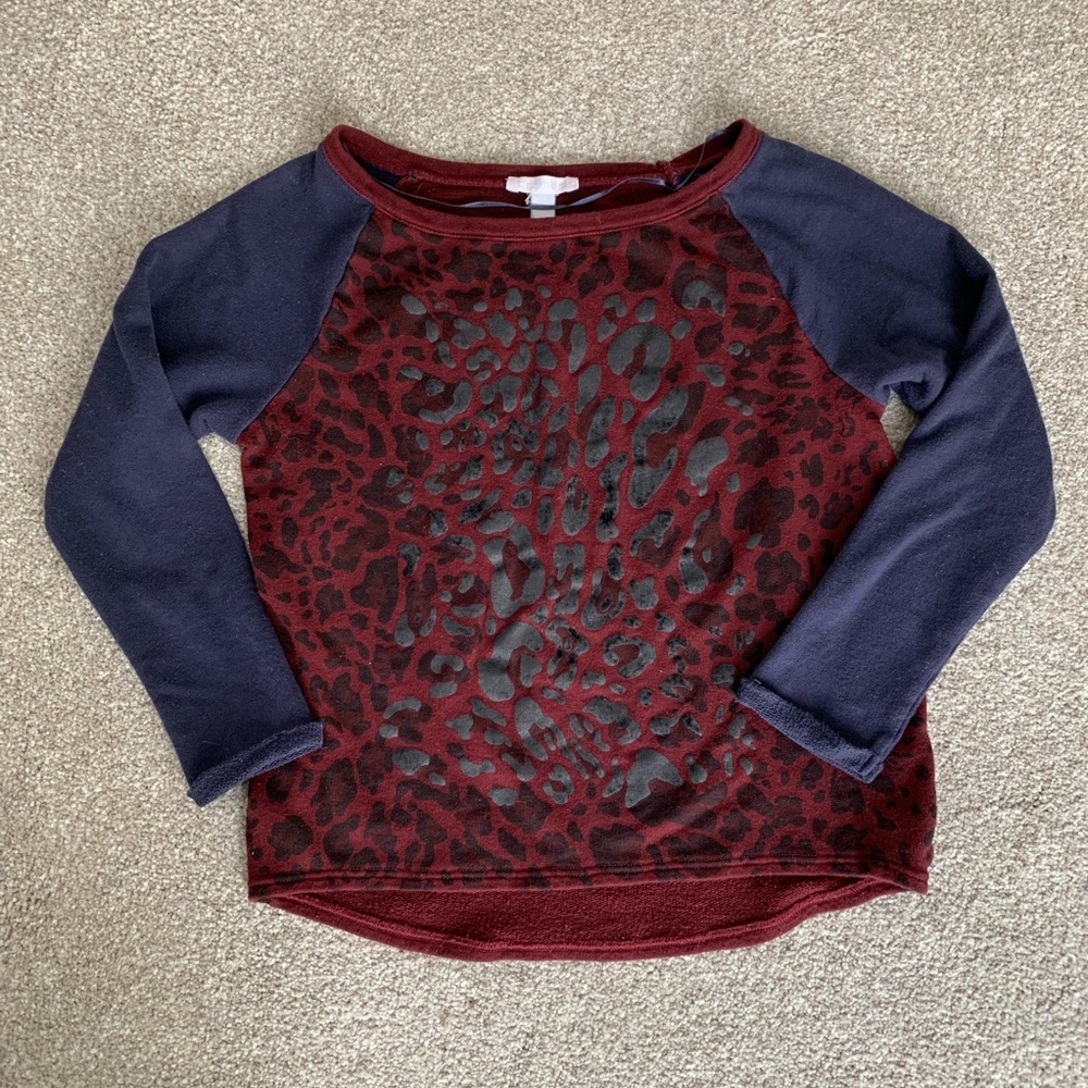 Sweater Cheetah Pattern Color Block Sleeves